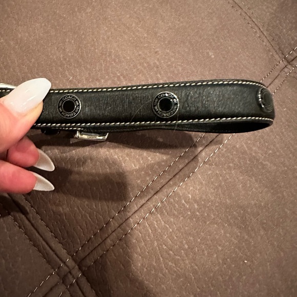 Coach collar - Picture 2 of 4